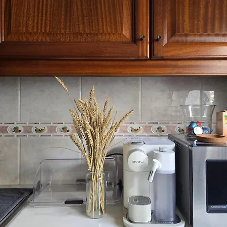 Majesticlara * Лісабон