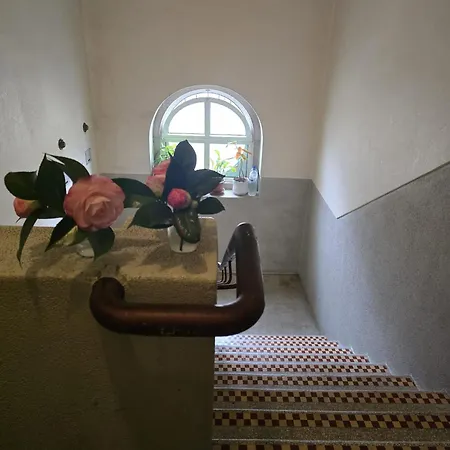 Majesticlara * Лісабон