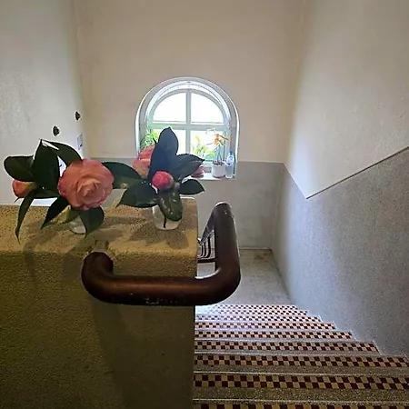 Majesticlara Oda ve Kahvaltı